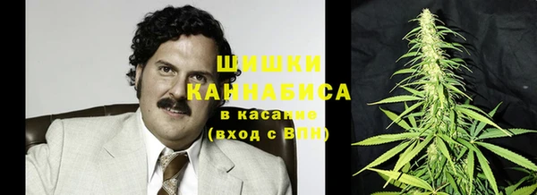 PSILOCYBIN Абаза