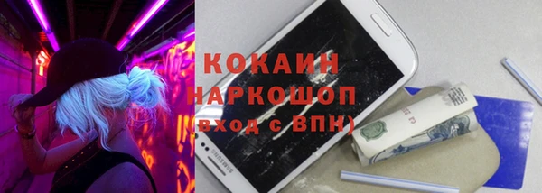 стафф Алексин