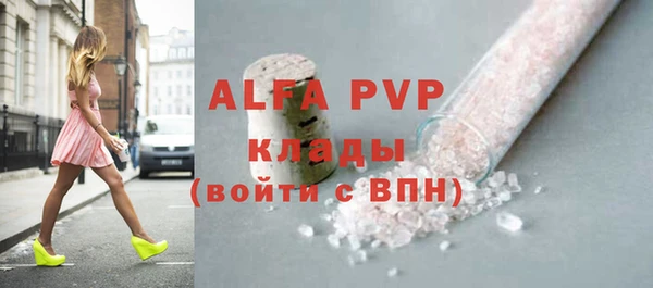 стафф Алексин